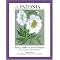 Monographs and other books for the plant collector