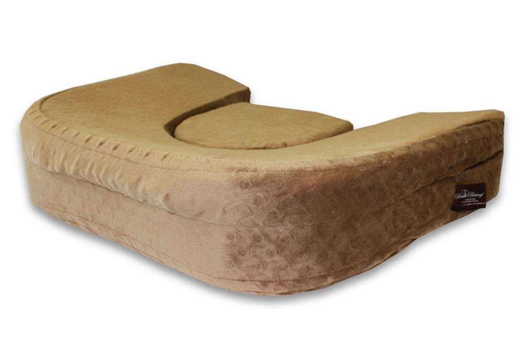 Double Blessings San Diego Bebe EcoNursing Pillow Twins eBay