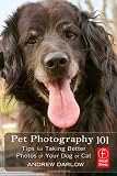 Pet Photography 101: Tips for taking better photos of your dog or cat