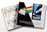 Winsor & Newton Designers Gouache Introductory Paint Set