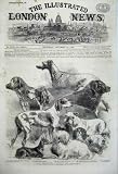 1860 NATIONAL EXHIBITION DOGS BIRMINGHAM BLOODHOUND