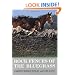 Rock Fences of the Bluegrass (Perspectives on Kentucky's Past: Architecture, Archaeology, and Landscape)