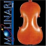 Molinari Romanian 4/4 Size Intermediate Violin Outfit (Oil Finish, Wood Bow, Oblong Case)