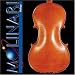 Molinari 312-4 Romanian - High Quality 4/4 Size Intermediate Violin Outfit (oil finish)