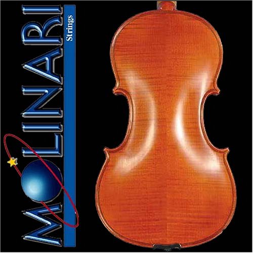 Molinari Romanian 4/4 Size Intermediate Violin Outfit Oil Finish, Wood Bow, Oblong Case
