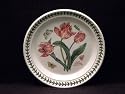 Portmeirion Botanic Garden Salad Plate Pink Parrot Tulip