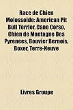 Race de Chien Molossode: American Pit Bull Terrier, Cane Corso, Chien de Montagne Des Pyrnes, Bouvier Bernois, Boxer, Terre-Neuve