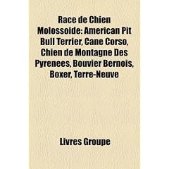 Race de Chien Molossode: American Pit Bull Terrier, Cane Corso, Chien de Montagne Des Pyrnes, Bouvier Bernois, Boxer, Terre-Neuve