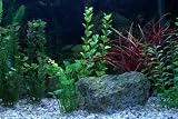 LED AQUARIUM STRIP LIGHTING SET in WHITE ** FULLY WATERPROOF KIT IDEAL FOR TRANSFORMING AQUARIUMS, FISH TANKS, PONDS, ETC **