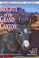 Brighty of the Grand Canyon