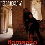 Furia Flamenca