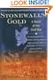 Stonewall's Gold: A Novel of the Civil War