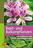 Image de Taschenatlas Beet- und Balkonpflanzen: 222 Sommerblumen, Kübelpflanzen und Schnittpflanze