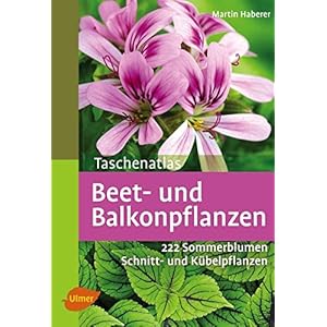 Taschenatlas Beet- und Balkonpflanzen: 222 Sommerblumen, Kübelpflanzen und Schnittpflanze