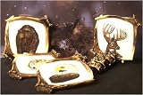Wildlife Drink Coasters - Set of 4