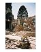 Monkeys in Lopburi, Thailand Stretched Canvas Poster Print by Melisa Lore Martinez, 8x10