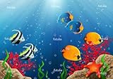 'Aquarium' Wall Decal - 36