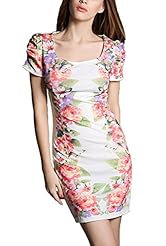 Floral Print Puff Sleeves Short Sleeves Polyester  Dress