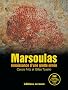 Marsoulas : Renaissance d'une grotte orn�e (1DVD)
