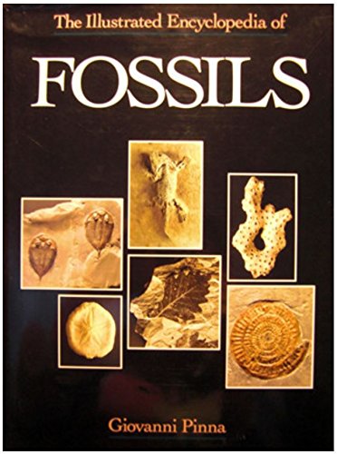 the illustrated encyclopedia of fossils
