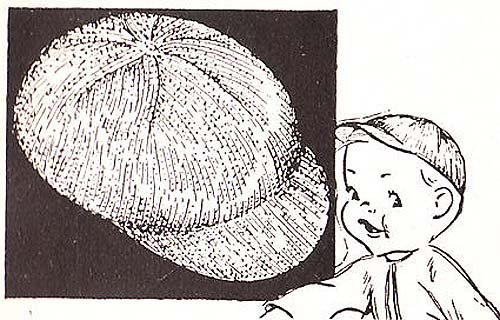 Infant's Newsboy Cap Hat Vintage Baby Knit Knitting Pattern EBook Download