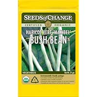 Seeds of Change S14279 Certified Organic Maxibel Bean, 100 Seed Count