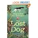 The Lost Dog