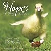 Hope Is The Thing With Feathers