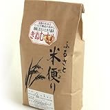 鳥取県産　白米　「きぬむすめ」極太米（10kg）平成25年度産[常温]