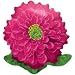 Red Zinnia Shaped 23
