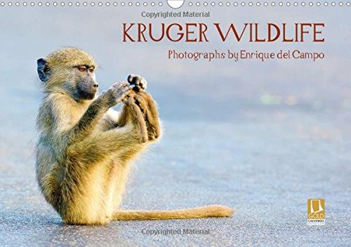 Kruger Wildlife 2017: Evocative Images of Wildlife in the Kruger National Park, South Africa (Calvendo Animals)