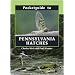 Pocketguide to Pennsylvania Hatches