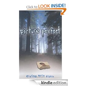 Picture Perfect (Young Adult Fiction)