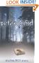 Picture Perfect (Young Adult Fiction)