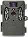 5mb Trail Camera Colour Camera Trap With Night Vision Mot