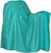 Kashmir Shawls Stole with Embroidery on Wool Fabric Size:80 x 40 (ebs299)