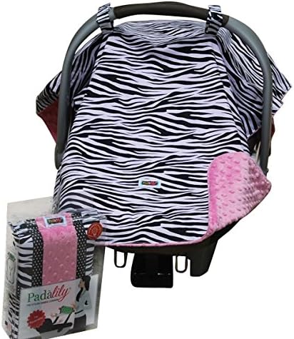 Zebra Canopy with Hot Pink Minky Lining