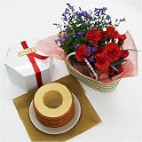 �y09��̓��z��̓��o�X�P�b�g&�u�W�����{�N�[�w��(�o�j��)�v�̃Z�b�g