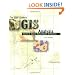ESRI Guide to GIS Analysis, Volume 2: Spatial Measurements and Statistics