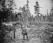 Alaska Loggers, ca. 1910 Photograph - Beautiful 16x20-inch Photographic Print from the Library of Congress Collection