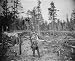 Alaska Loggers, ca. 1910 Photograph - Beautiful 16"x20" Photographic Print from the Library of Congress Collection