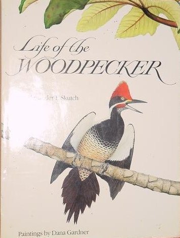 Life of the Woodpecker