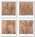 Elefantes En El Papel Set by Carolina Luzon 16"x16" Art Print Poster Latin