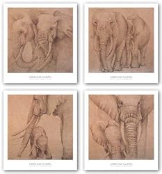Elefantes En El Papel Set by Carolina Luzon 16"x16" Art Print Poster Latin