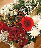 Review Bunches Florapost Ltd.  / Jingle Berry