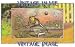 2.75 inch x 2 inch (7.5 x 5cm) Acrylic Fridge Magnet Animals Baseball Frog Vintage Image