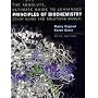 Lehninger Principles of Biochemistry Absolute Ultimate Guide (Study Guide & Solutions Manual)