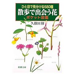 �ЂƖڂŌ�������580�� �U���ŏo��� �|�P�b�g�}�� (�V������)