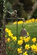 Decorative Garden Stake with Detailed Bell Decorative Garden Stake with Detailed Bell