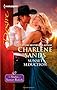 Sunset Seduction (Harlequin Desire) 